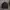 Nike Streetwear Sportswear Windbreaker Pria black photo 8