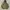 Realtree Vintage Streetwear Hoody Pria green photo 6