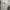 Dickies Y2K Casual Formal pants Pria khaki photo 1