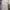 Dickies Y2K Casual Formal pants Pria khaki photo 7