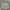 Vintage Streetwear Casual Shirt Pria Multicolor
