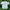 Gildan Streetwear Skater T-shirt Pria white green photo 1