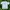 Gildan Streetwear Skater T-shirt Pria White Green