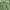 Casual Blouse Wanita green photo 1