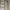 Vintage Y2K Polo shirt Pria white tan photo 5
