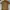 Vintage Y2K Polo Shirt Pria White Tan