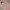 Grooverhyme Streetwear Sportswear Hoody Pria pink photo 1