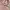 Grooverhyme Streetwear Sportswear Hoody Pria pink photo 5
