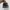 Salomon Casual Sneakers Pria black photo 4