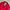 Burberry Vintage Luxury Harrington Jacket Pria Red