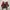 Coach Y2K Luxury Shoulder bag Wanita burgundy photo 6