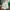 Nike Vintage Sportswear Windbreaker Pria white green photo 4