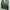 Nike Vintage Sportswear Track jacket Pria green photo 2