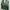 Nike Vintage Sportswear Track Jacket Pria Green