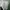 Nike Vintage Sportswear Track jacket Pria green photo 5