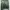 Nike Vintage Sportswear Track jacket Pria green photo 1