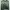 Nike Vintage Sportswear Track Jacket Pria Green