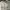 Abercrombie & Fitch Casual T-shirt Pria White