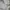 MLB Vintage Streetwear Hoody Pria white photo 5