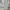 MLB Vintage Streetwear Hoody Pria white photo 3
