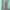 Minimalist Wanita green photo 4