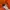 Montbell Gorpcore Short Pria orange photo 3