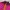 Montbell Gorpcore Puffer jacket Wanita purple burgundy photo 2