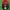 Red Wing Shoes Indie Casual Hat Pria Green Red