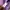 KIRSH Luxury Minimalist Sweatshirt Pria purple photo 5