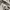 FUBU Streetwear Y2K Hoody Pria gray photo 5