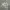 FUBU Streetwear Y2K Hoody Pria gray photo 2
