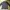 LINDBERGH Streetwear Casual Polo shirt Pria white navy photo 2