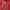 Badboy Streetwear Y2K Hoody Pria red photo 2
