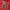 Badboy Streetwear Y2K Hoody Pria Red