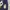 Rocawear Vintage Streetwear T-shirt Pria navy photo 3