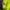 Reebok Sportswear Minimalist Bag Pria purple green photo 3