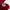CELINE Luxury Casual Polo shirt Pria red photo 6