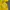 Nike Vintage Jersey Pria yellow photo 4