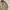 Burberry Casual Harrington jacket Pria tan photo 2