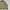 Streetwear Casual Puffer jacket Pria multicolor photo 2