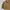 Casual Harrington jacket Pria tan brown photo 4