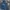 Evisu Streetwear Luxury Hoody Pria navy blue photo 1