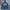 Evisu Streetwear Luxury Hoody Pria navy blue photo 3