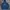Evisu Streetwear Luxury Hoody Pria navy blue photo 2