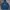 Evisu Streetwear Luxury Hoody Pria Navy Blue