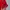 Dickies Luxury Puffer jacket Pria red photo 3