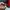 Dickies Luxury Puffer jacket Pria red photo 7