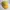 Streetwear Hat Wanita yellow photo 4