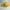 Streetwear Hat Wanita yellow photo 5