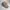 Converse Streetwear Hat Pria Tan